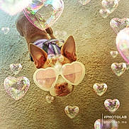 Prada joined the competition — help win amazing prizes! beach, circle, close_up, eyewear, fashion_accessory, fun, glass, light, liquid, natural_environment, natural_material, organism, photograph, pink, reflection, sand, sunglasses, transparent_material, vision_care, white