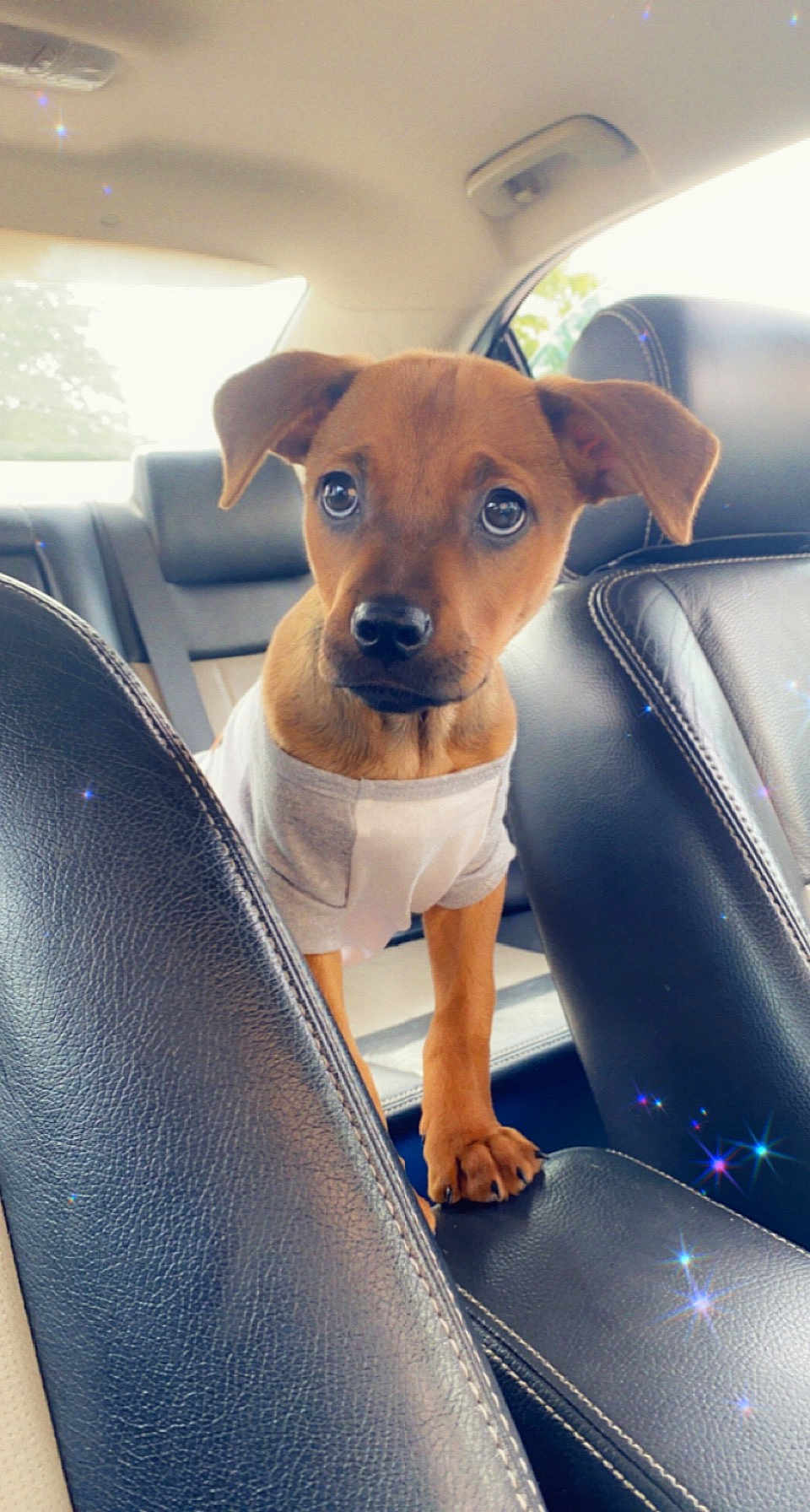 Melo