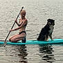 Vanïa a rejoint le concours — aidez-le/la à gagner de superbes lots ! animal, bikini, calm, dog, forest, happy, lake, leisure, nature, outdoor, paddle, paddleboard, pet, recreation, reflection, sport, summer, water, wet, woman