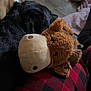 dog, black_dog, plush_toy, moose_toy, red_and_black_checkered_pants, floor, wooden_floor, resting, indoor, cozy, stuffed_animal, animal_toy, pet, relaxation, casual, soft_toy, comfort, home, companion, fabric