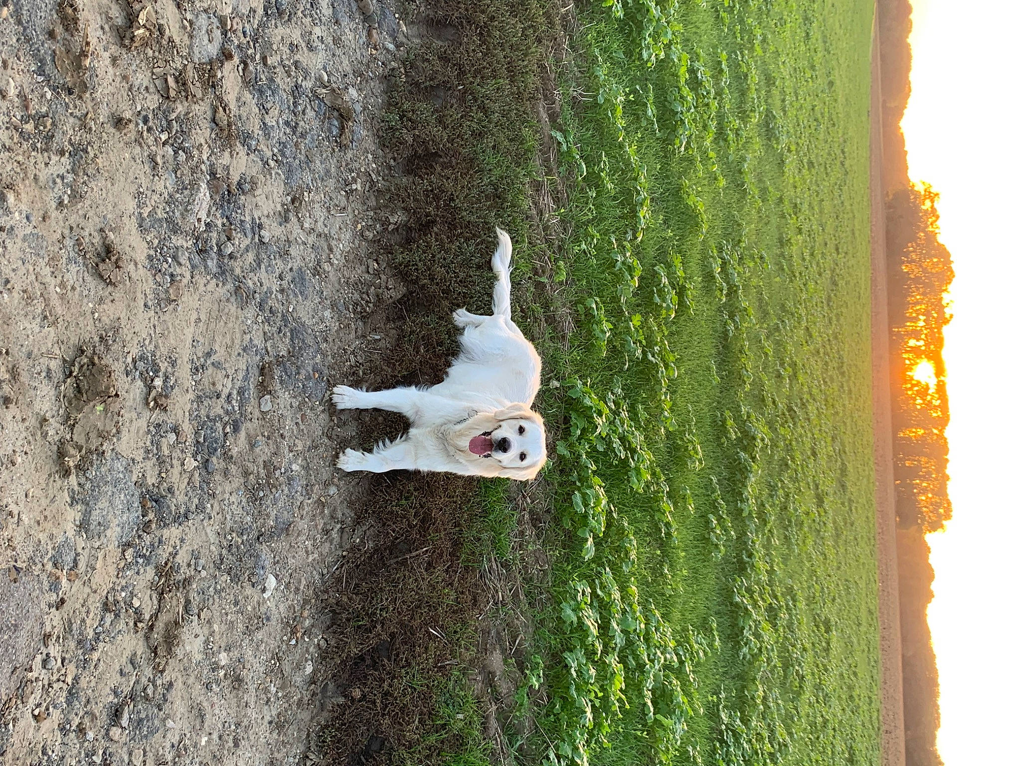 Nella a rejoint le concours — aidez-le/la à gagner de superbes lots ! adventure, extreme_sport, grass, grass_family, landscape, leisure, plant, recreation, reflection, rock, shadow, sky, soil, sport_climbing, tree, trunk, water, wildlife, wood, woody_plant