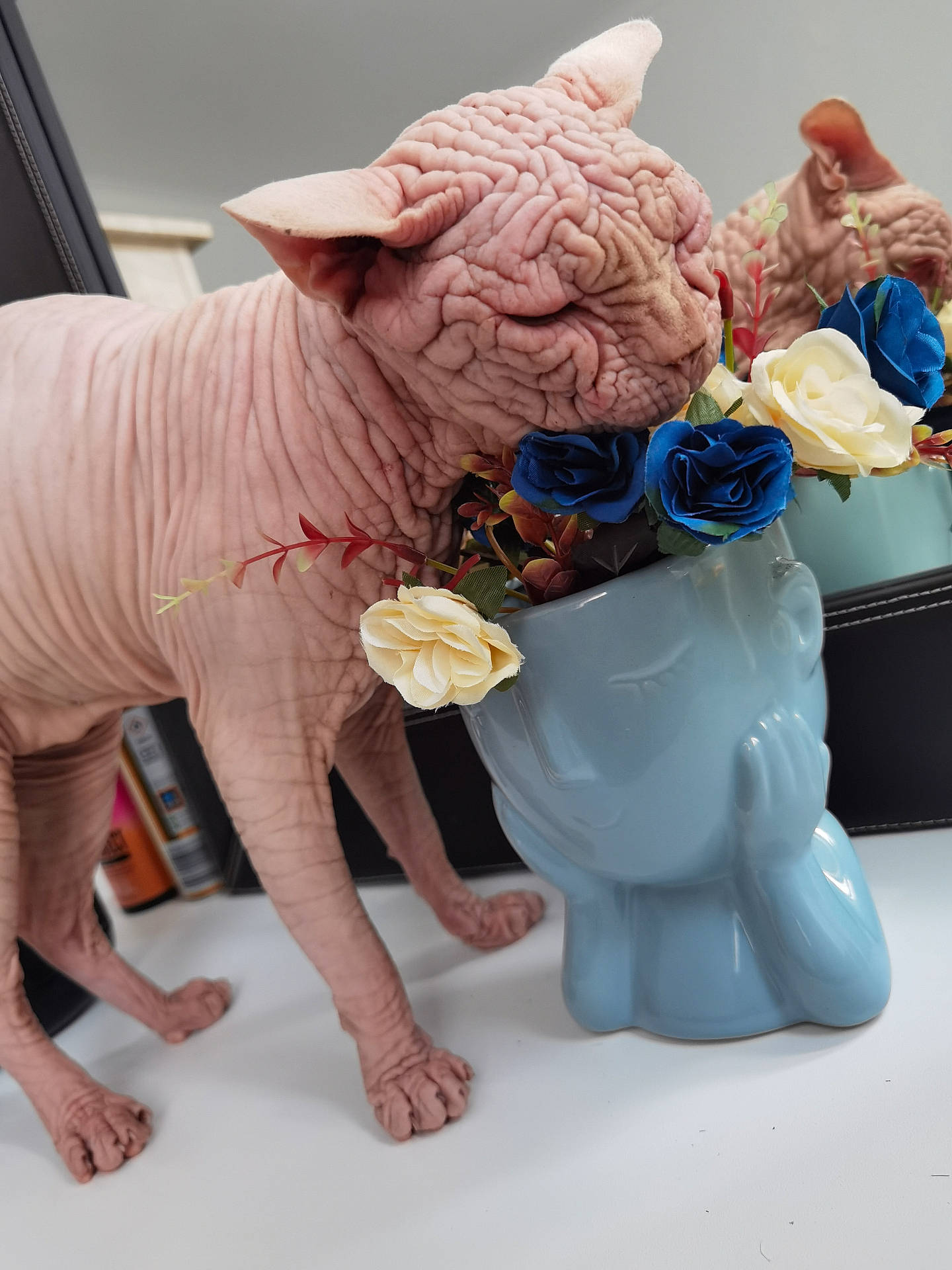 Golden Cat Lanvin joined the competition — help win amazing prizes! adult, animal, art, cat, female, figurine, flower, flowerarrangement, flowerbouquet, geranium, ikebana, jar, person, pet, petal, plant, pottedplant, pottery, rose, woman