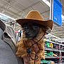 aisle, animal, brown_dog, canine, cowboy_hat, cute, dog, domestic_animal, fur, hand, hat, holding, indoor, looking_away, pet_food, pet_store, shelves, shopping, small_dog, store_sign