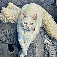 Beau joined the competition — help win amazing prizes! white_cat, cat, painting, oil_painting, portrait, green_eyes, couch, gray_couch, pillow, texture, brush_strokes, artistic, animal, pet, feline, indoor, relaxed, decor, soft_lighting, close_up