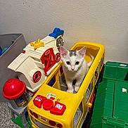 Gizmo joined the competition — help win amazing prizes! kitten, cat, toy_bus, yellow, white, gray_spots, toy_barn, red, green_toy_truck, carpet, indoor, curious, pet, animal, playroom, childrens_toys, plastic_toys, wall, floor, young_cat