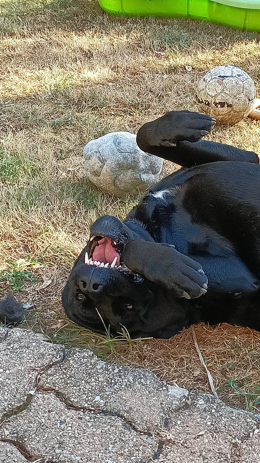 Pixel participe au concours pour gagner de l'argent avec cette photo : automotive_tire, goggles, grass, grassland, hat, landscape, military_camouflage, personal_protective_equipment, rock, shadow, sitting, soil, sunglasses, tree