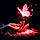 Isatis D.