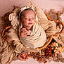 baby, basket, blanket, closeup, cute, decor, delicate, fabric, flower, headband, infant, newborn, peaceful, portrait, resting, sleeping, soft, swaddle, toddler, wrapped