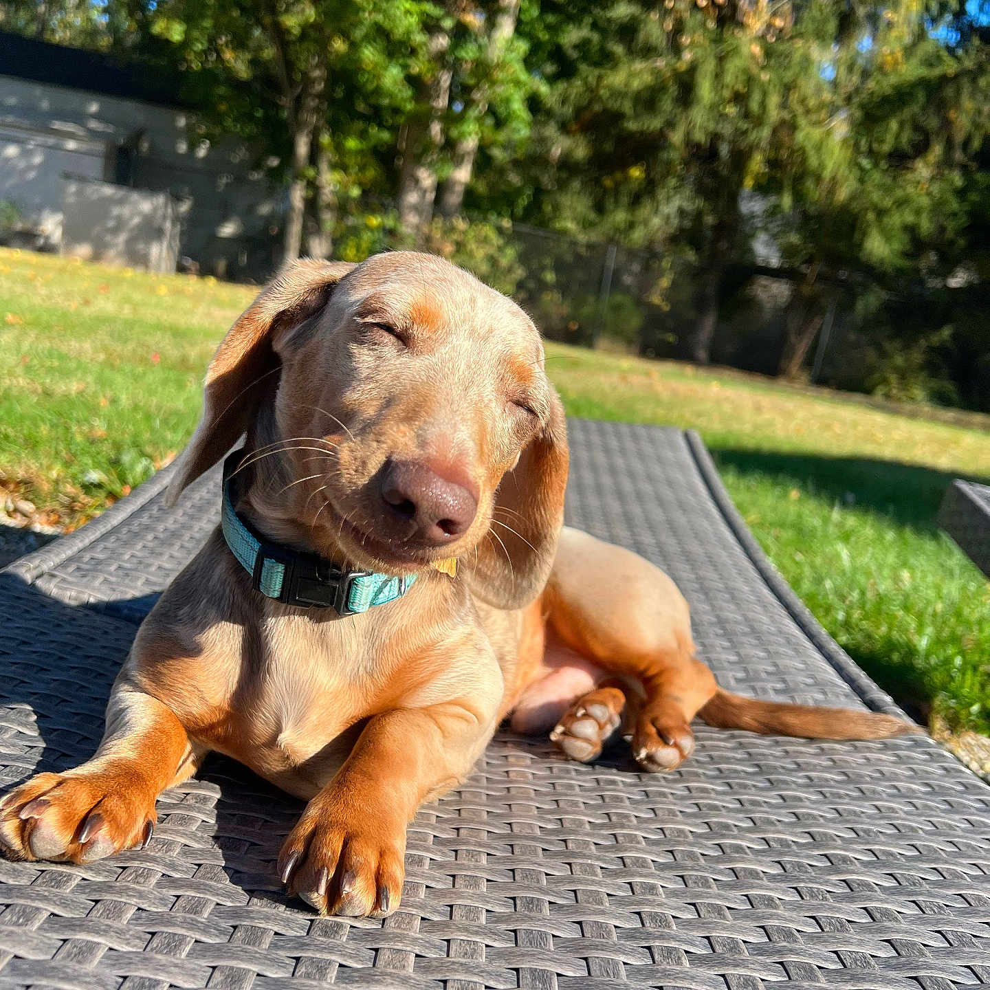 Winston