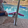 backyard, casual_clothing, daytime, dog, fence, leash, man, metal_handrail, outdoor, pet, pool, pool_noodle, reflection, relaxation, sidewalk, summer, sunlight, swimming, trees, water