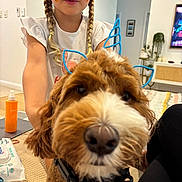 Bailey is registered to the contest to win money with this photo: animal_accessory, braided_hair, carpet, child, close_up, cute, dog, face_paint, furniture, happy, houseplant, indoor, living_room, person, pet_collar, playful, smiling, television, toy, unicorn_horn