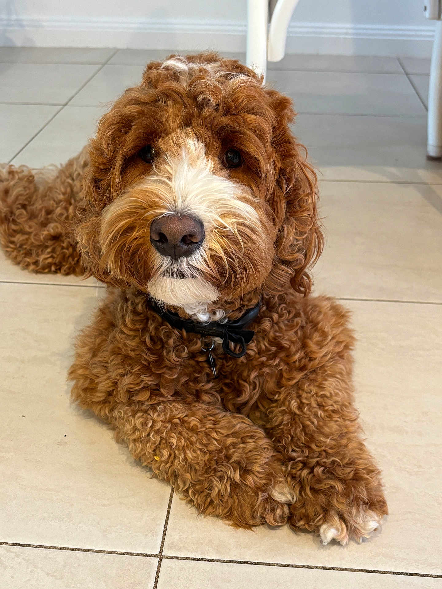 Bailey