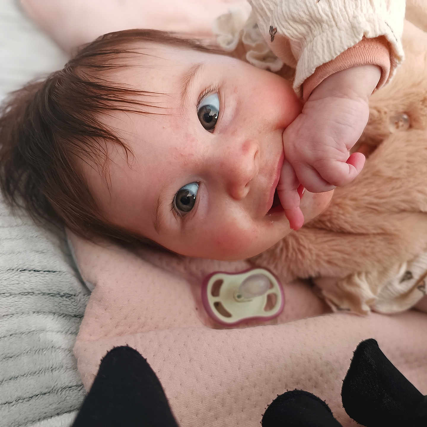 Louna participe au concours pour gagner de l'argent avec cette photo : baby, blanket, bodypart, clothing, couch, face, finger, footwear, furniture, hand, happy, head, knitwear, mouth, newborn, person, photography, portrait, smile, sweater
