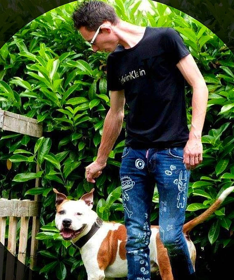 Eason a rejoint le concours — aidez-le/la à gagner de superbes lots ! canidae, carnivore, companion_dog, dog, dog_breed, eyewear, fashion_accessory, fawn, garden, grass, green, leisure, people_in_nature, photograph, plant, snapshot, sporting_group, t_shirt, tail, terrier