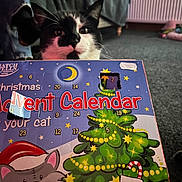 Toby joined the competition — help win amazing prizes! cat, black_and_white, advent_calendar, christmas, holiday, curious, pet, indoor, carpet, furniture, window, radiator, decorations, stars, tree, candy_cane, cartoon_cat, closeup, face, festive