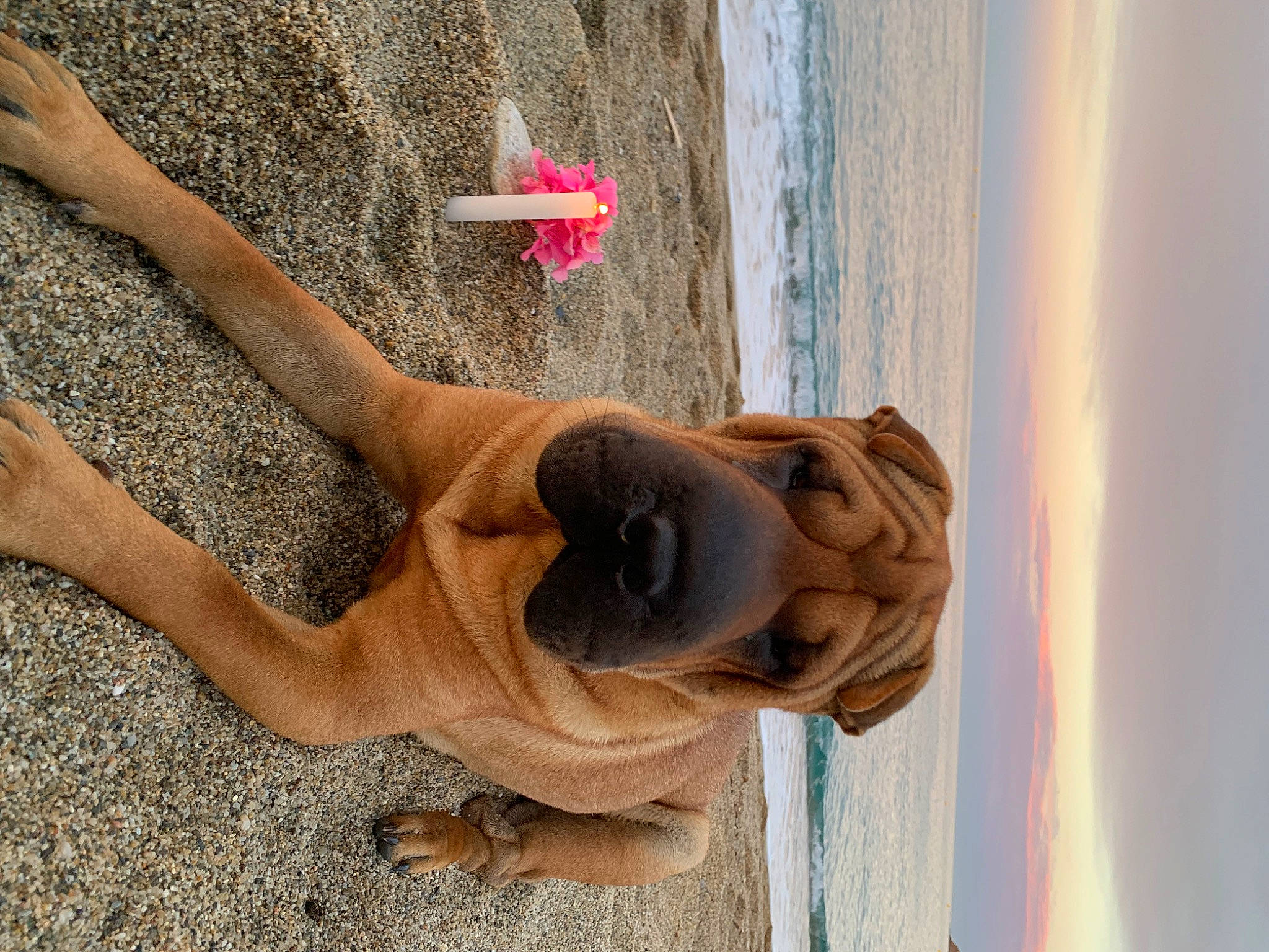 Sasha participe au concours pour gagner de l'argent avec cette photo : art, barechested, beach, fawn, foot, fun, human_leg, landscape, leisure, recreation, sculpture, sky, statue, sunglasses, swimwear, thigh, tree, trunk, water, wood