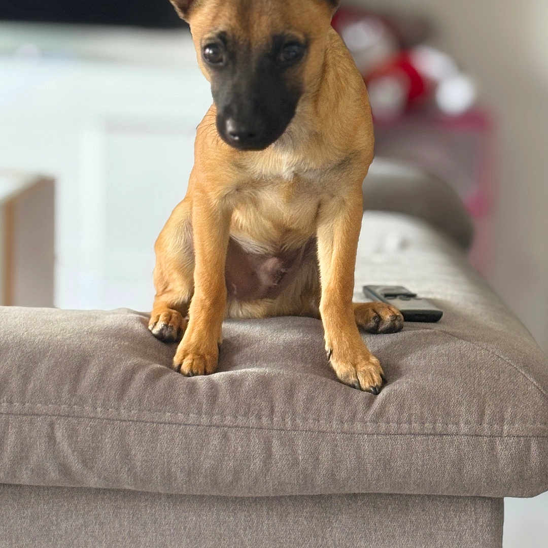 Kyro