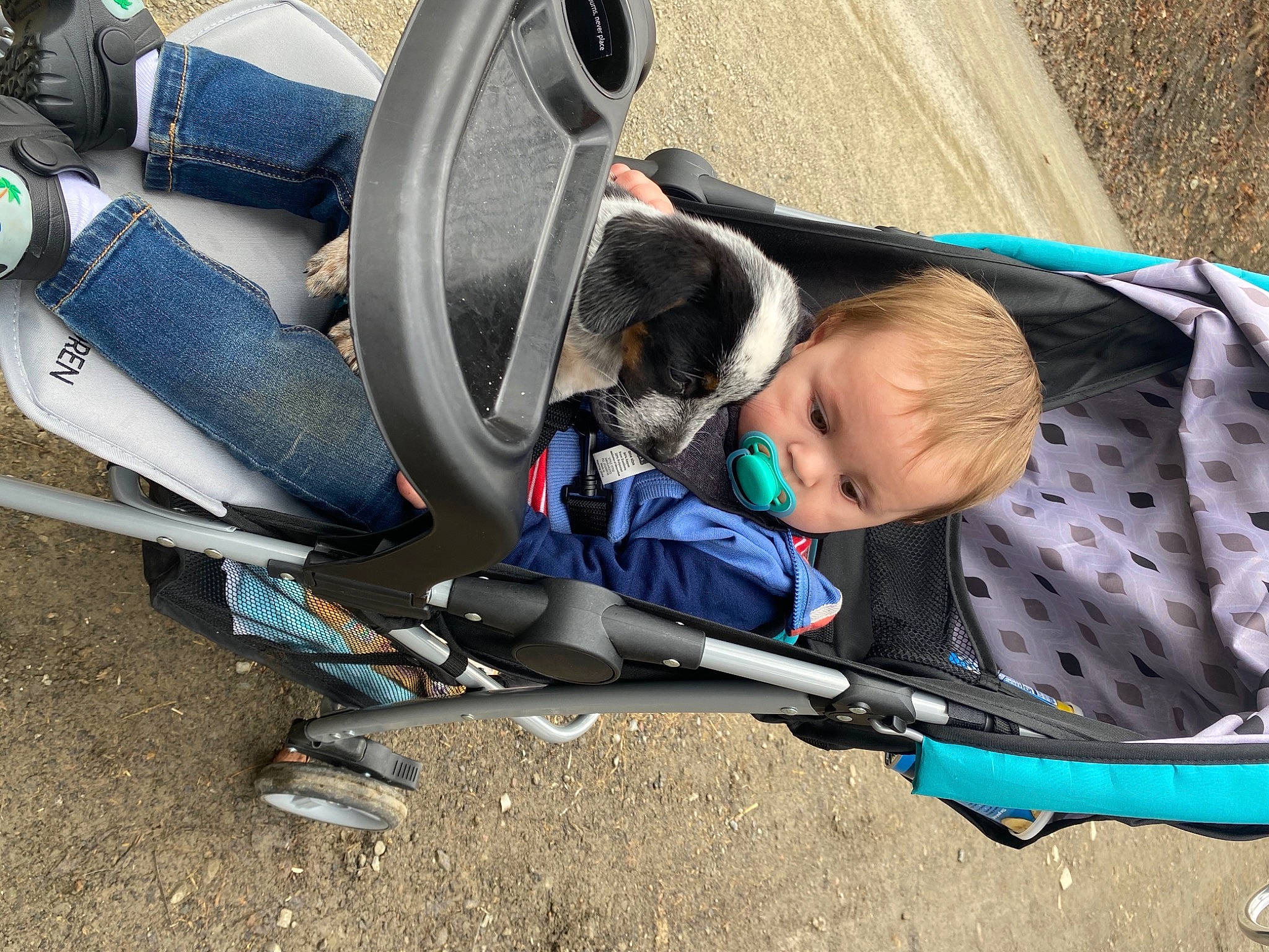 Maddox is registered to the contest to win money with this photo: auto_part, automotive_exterior, automotive_tire, baby, baby_carriage, baby_products, child, comfort, diving_equipment, electric_blue, leisure, motor_vehicle, person, personal_protective_equipment, product, recreation, service, sitting, toddler, vacation