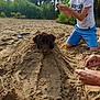 animal, beach, boy, casual, child, dog, fun, greenery, hand, leisure, nature, outdoor, pet, playing, recreation, sand, sandcastle, summer, sunlight, trees
