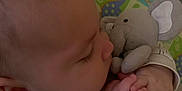 Cullen joined the competition — help win amazing prizes! baby, child, close_up, clothing, cozy, cute, dinosaur_print, elephant, face, hand, head, indoors, infant, nap, patterned_cushion, peaceful, plush_toy, sleeping, soft_toy, tiny_hands