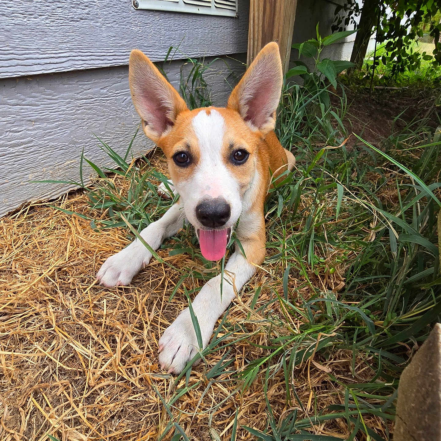 Marley