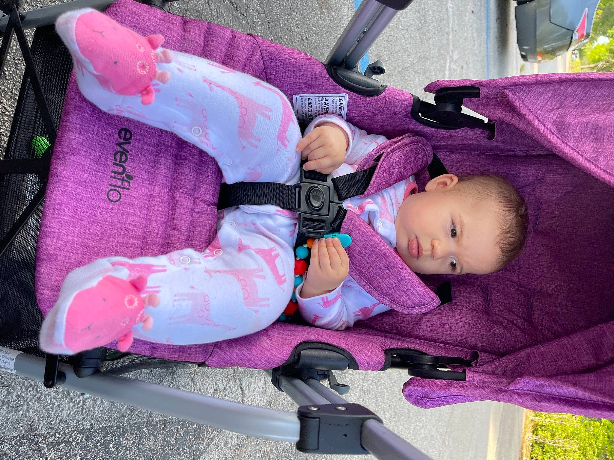 Arielle is registered to the contest to win money with this photo: auto_part, baby, baby_carriage, baby_products, baby_safety, baby_toddler_clothing, bag, baggage, car_seat, child, comfort, lap, magenta, person, pink, purple, shoe, sitting, toddler