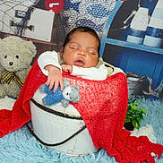 Noah a rejoint le concours — aidez-le/la à gagner de superbes lots ! baby, sleeping, bucket, red_blanket, blue_teddy_bear, teddy_bear, soft_rug, plant, decor, wooden_box, rope, blue_background, white_clothing, child, infant, portrait, cozy, cute, indoor, photography
