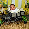 newborn, baby, sleeping, blanket, toy_car, vintage, plants, flowers, yellow, greenery, decor, indoor, portrait, cute, infant, resting, basket, woven_mat, cozy, child