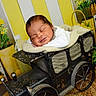 baby, sleeping, toy_car, blanket, vintage, flowers, yellow, green_plants, indoor, decor, peaceful, child, cute, resting, portrait, cozy, furniture, smiling, infant, relaxation