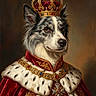 Teddy participe au concours pour gagner de l'argent avec cette photo : dog, crown, royal_clothing, red_robe, fur_trim, portrait, regal, king, animal, pet, costume, luxury, jewelry, medallion, majestic, studio_lighting, brown_background, canine, fancy, ceremonial