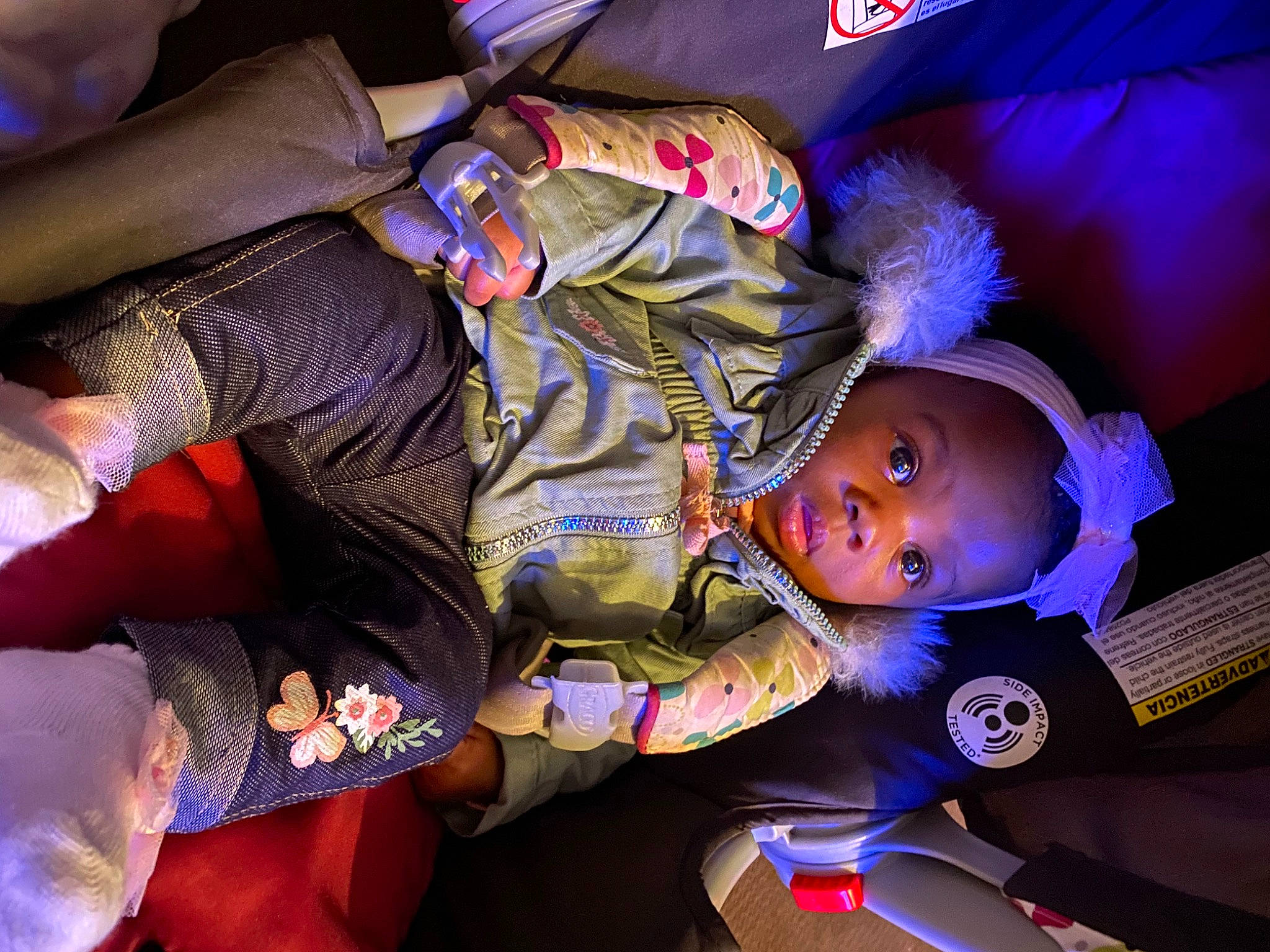 Amor joined the competition — help win amazing prizes! baby, child, electric_blue, entertainment, event, fun, human_leg, magenta, person, plant, purple, room, space, toddler, tree