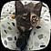 Winnie