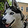 Husko