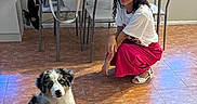 Pluto is registered to the contest to win money with this photo: bag, casual_clothing, chair, curly_hair, dog, floor, flowers, glasses, home, indoor, mug, pet, pink_skirt, puppy, smile, table, tile, white_shirt, window, woman