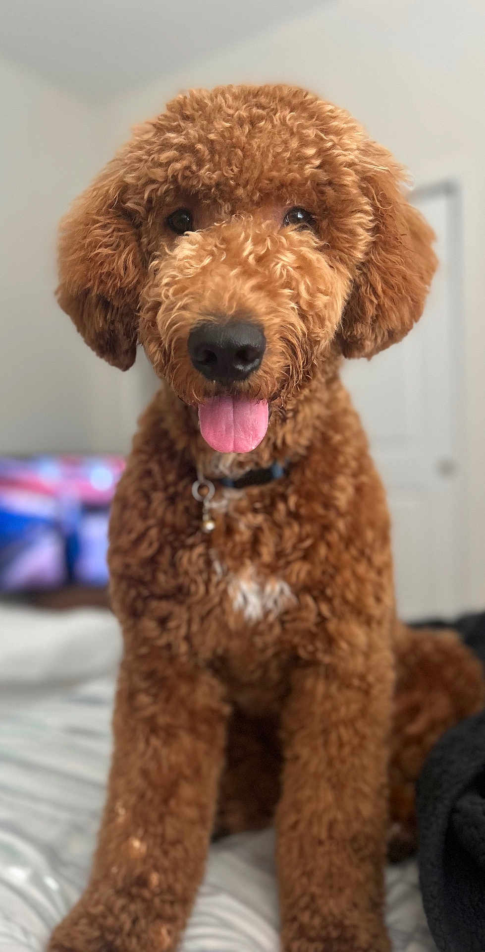 Milo