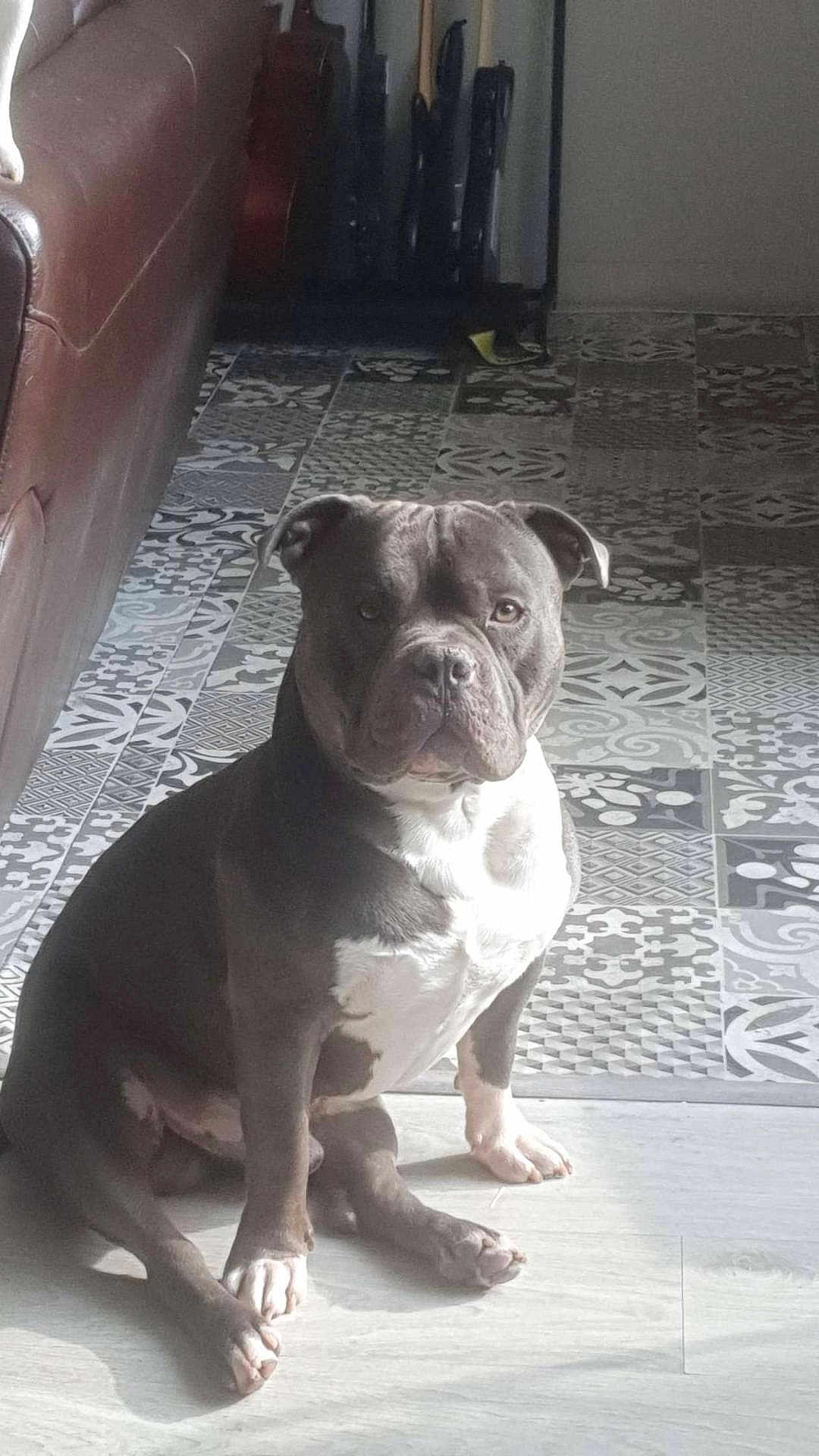 Thanos
