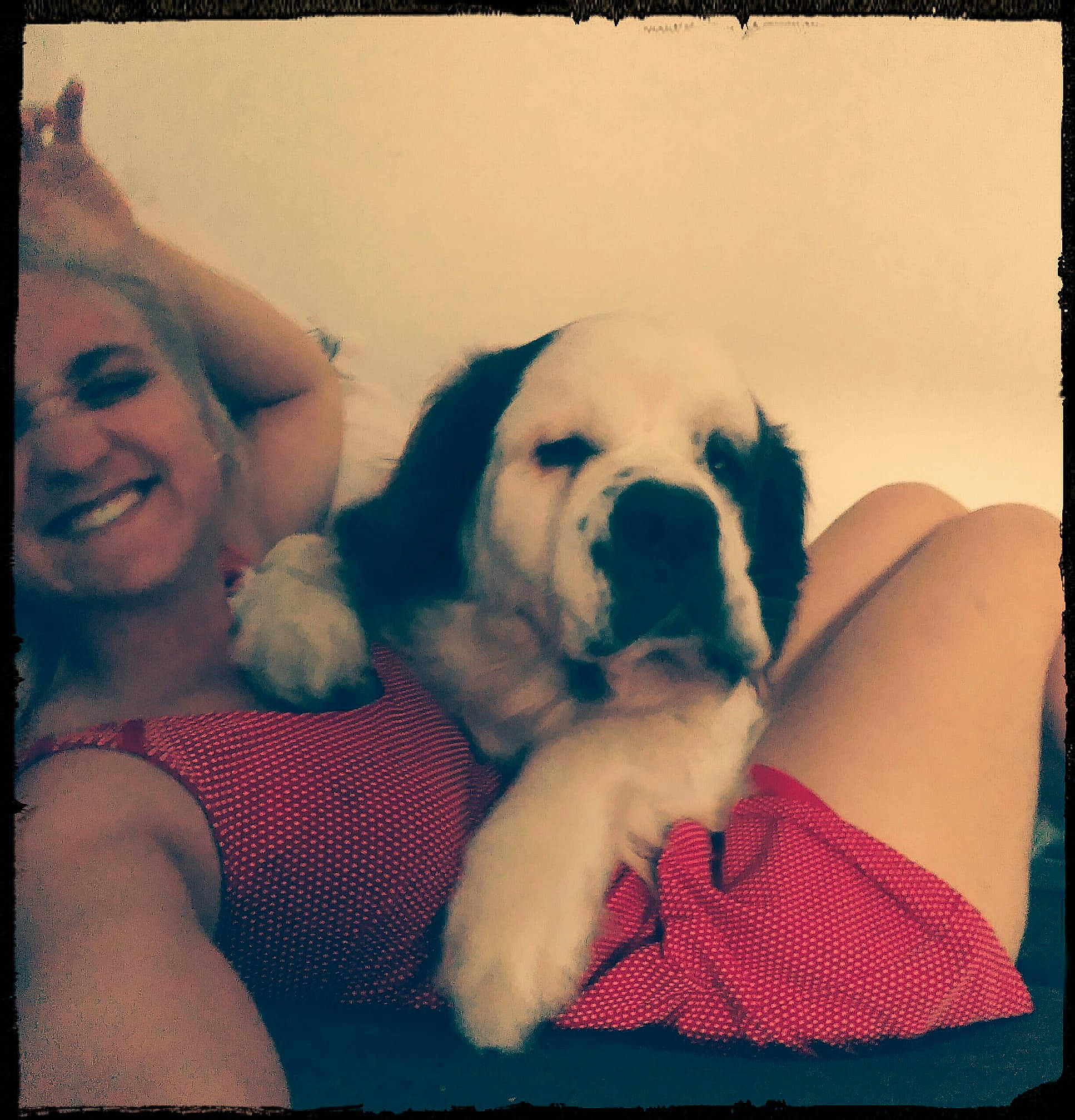 Linka a rejoint le concours — aidez-le/la à gagner de superbes lots ! carnivoran, dog, dog_breed, dog_like_mammal, ear, emotion, finger, fun, girl, hand, hug, interaction, joy, labrador_retriever, mammal, person, puppy, puppy_love, skin, smile