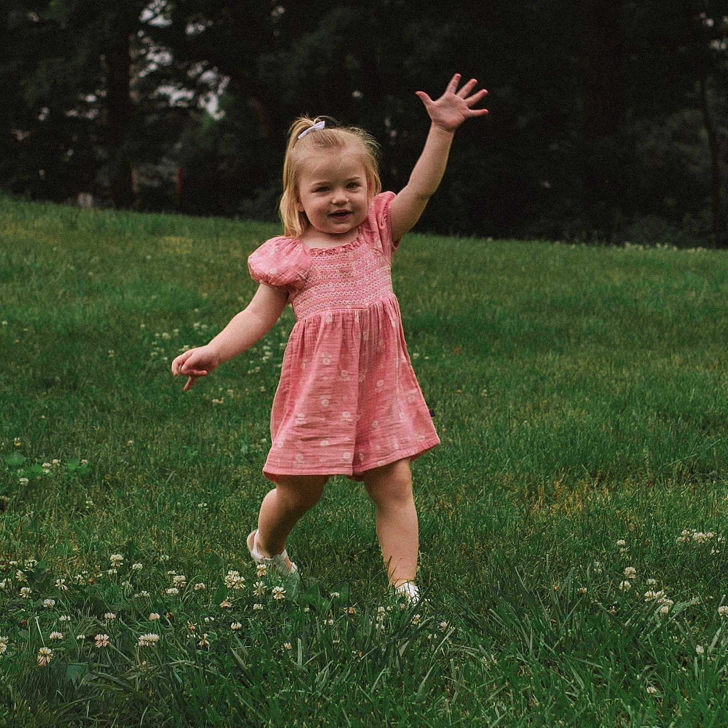 Harlee joined the competition — help win amazing prizes! child, toddler, pink_dress, grass, field, flowers, outdoor, nature, happy, running, smiling, person, greenery, summer, daylight, trees, playful, cute, young, casual_clothing