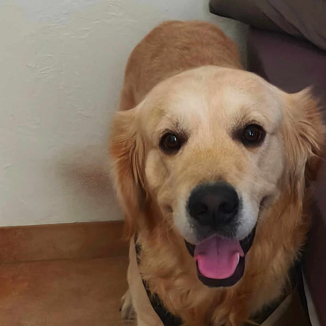 Oscar