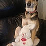 Nessie a rejoint le concours — aidez-le/la à gagner de superbes lots ! dog, stuffed_animal, bunny, plush_toy, couch, leather, pet, indoor, animal, brown_dog, sitting, collar, ears, fur, cute, companion, toy, red_bow, paw, home