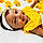 Rayneris