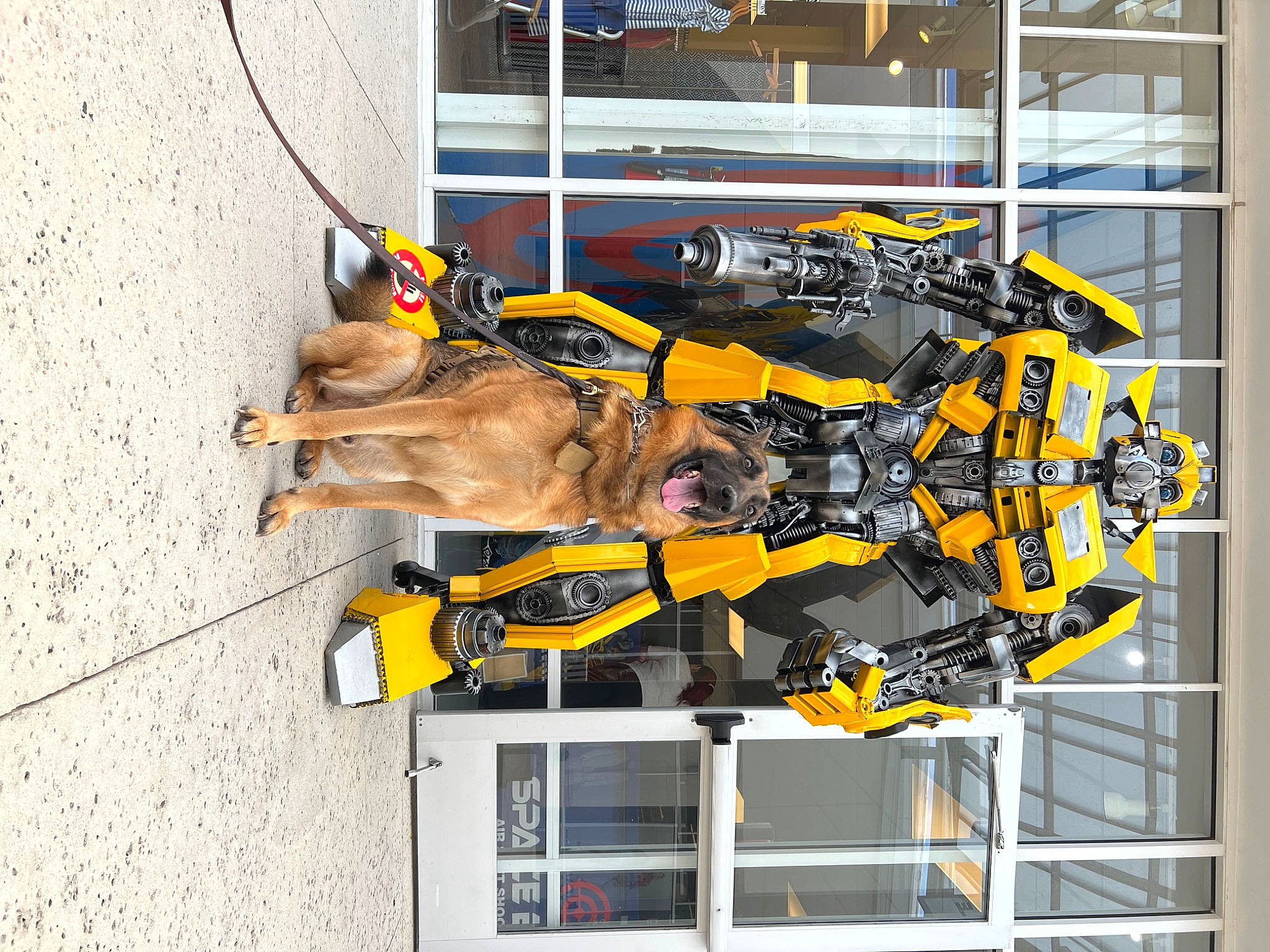 Shep is registered to the contest to win money with this photo: aircraft_engine, auto_part, automotive_design, automotive_exterior, automotive_wheel_system, electrical_supply, electrical_wiring, engineering, hood, machine, motor_vehicle, transport, working_animal