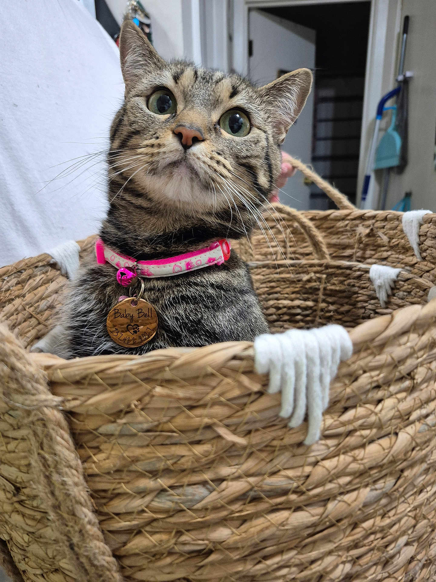 Babybell