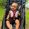 baby, child, stroller, smile, outdoor, greenery, grass, red_shirt, black_shorts, happy, person, nature, seatbelt, infant, feet, toy, sunlight, daylight, park, playful