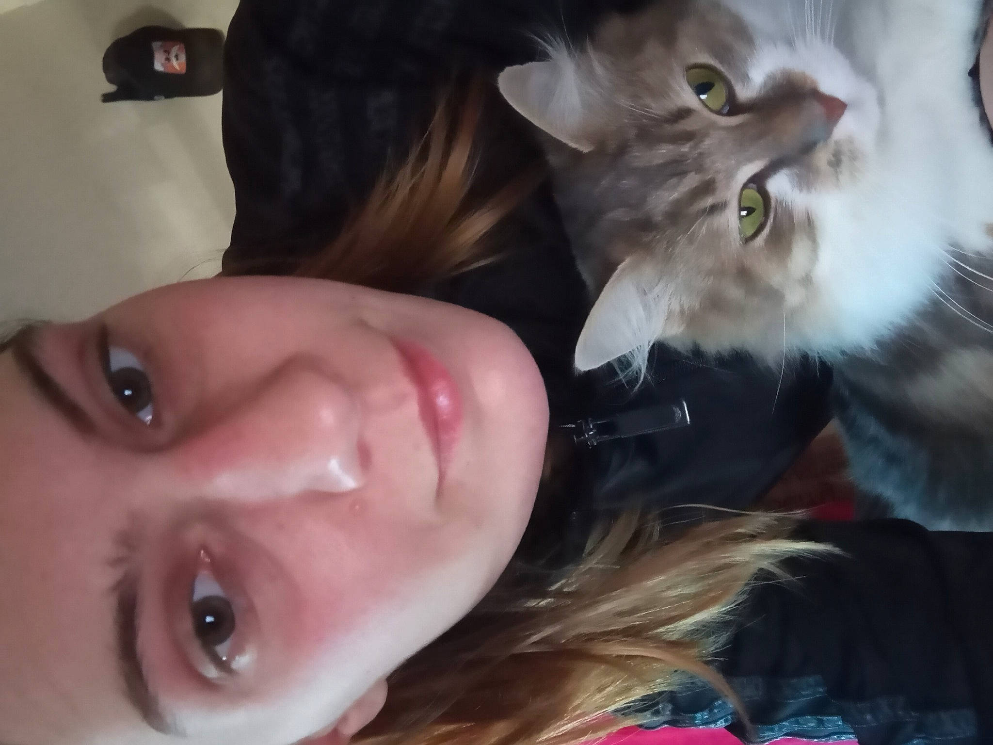 Dore participe au concours pour gagner de l'argent avec cette photo : carnivore, cat, cheek, chin, ear, eyebrow, eyelash, facial_expression, gesture, hairstyle, happy, iris, jaw, lip, mouth, neck, nose, organ, skin, smile