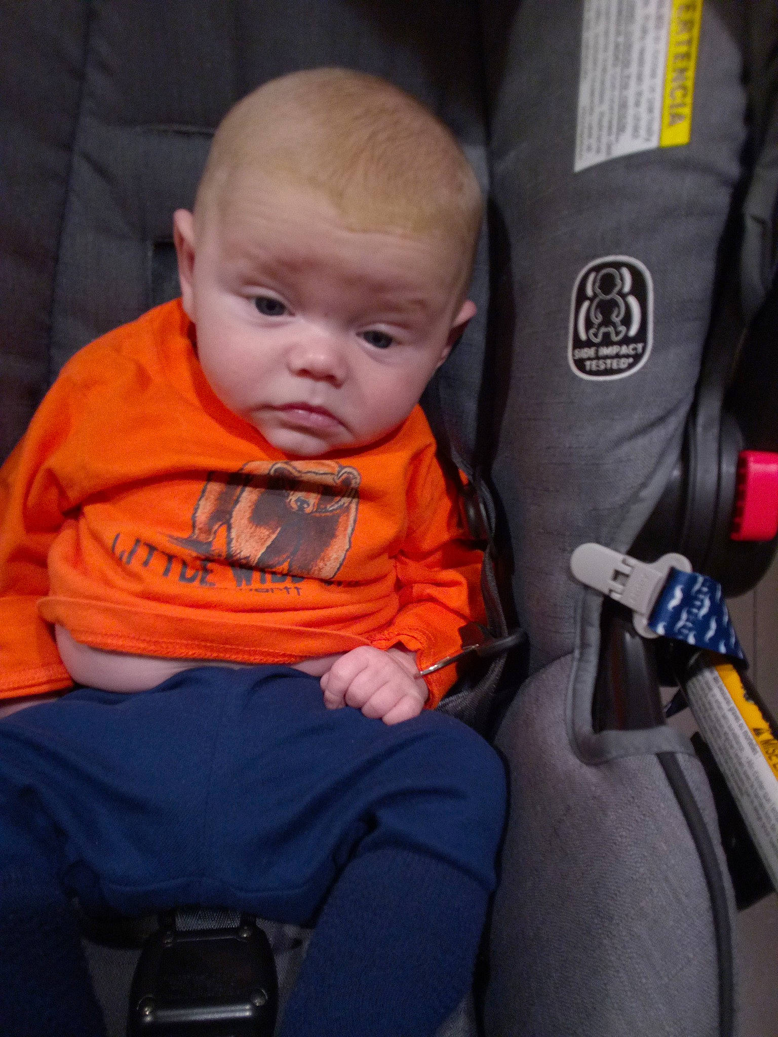 Zander is registered to the contest to win money with this photo: auto_part, baby, baby_products, baby_toddler_clothing, car_seat, cheek, child, comfort, electric_blue, fun, iris, motor_vehicle, person, product, seat_belt, sitting, skin, sleeve, steering_wheel, toddler