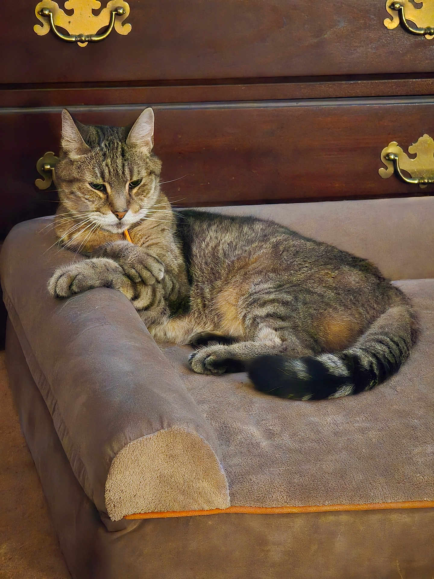 Mittens