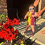 toddler, child, sunglasses, shirt, barefoot, adult_hands, porch, brick_wall, flower_bed, red_flowers, yellow_flowers, sunlight, shadow, plant, garden, outdoor, person, summer, casual, standing