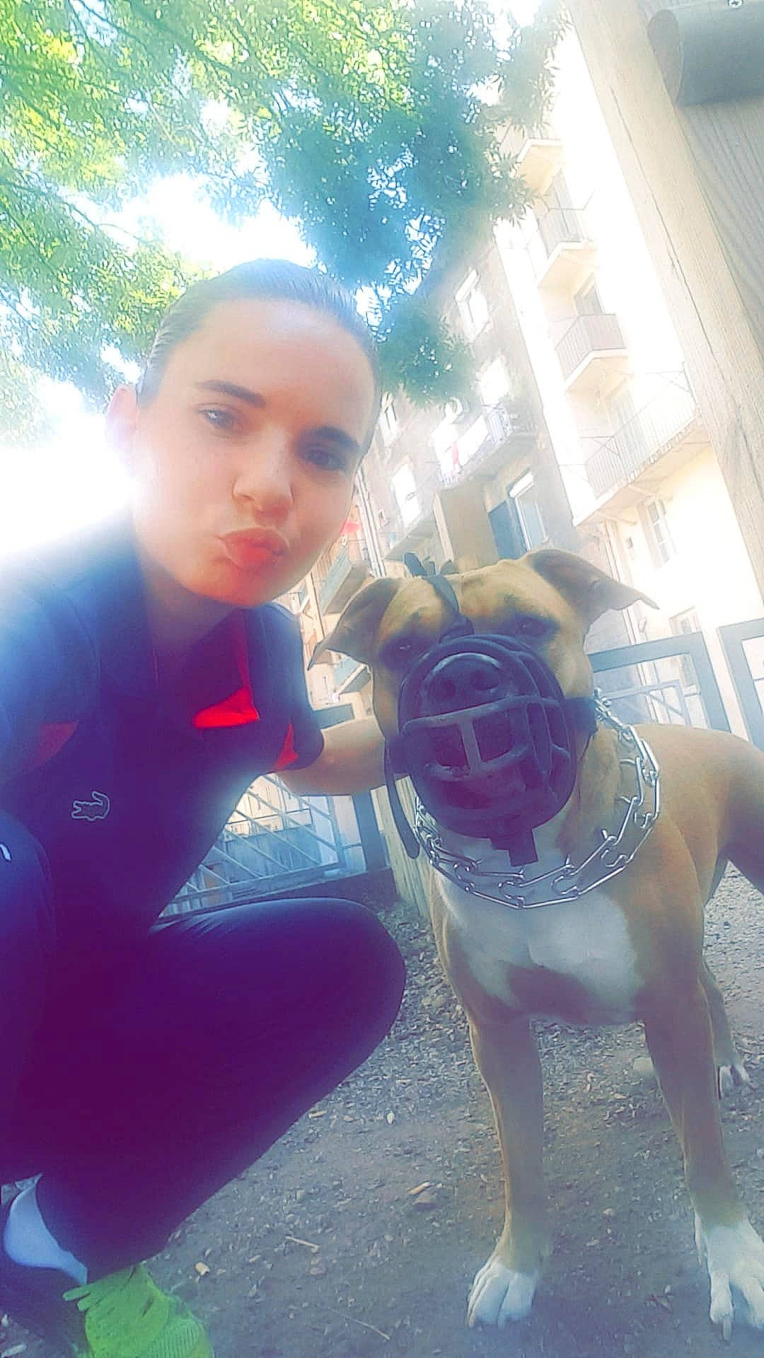 Atila a rejoint le concours — aidez-le/la à gagner de superbes lots ! blue, child, dog, dog_like_mammal, emotion, eye, facial_expression, fun, girl, light, mammal, person, photograph, pink, purple, skin, smile, snapshot, toddler, vertebrate