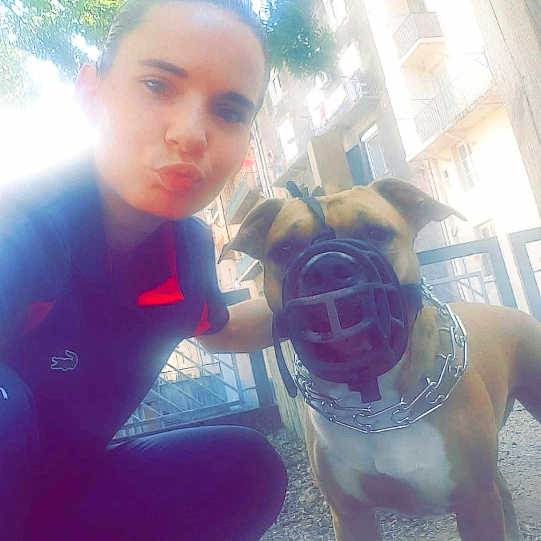 Atila a rejoint le concours — aidez-le/la à gagner de superbes lots ! blue, child, dog, dog_like_mammal, emotion, eye, facial_expression, fun, girl, light, mammal, person, photograph, pink, purple, skin, smile, snapshot, toddler, vertebrate